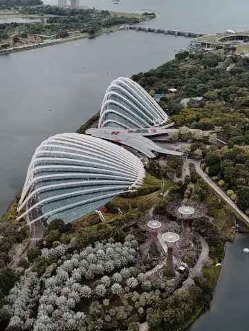 在新加坡空中公園玩得開心💐