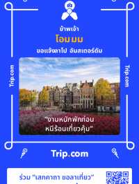 Otama Sunrice คาเฟ่ญี่ปุ่นลับๆ ในนนทบุรี