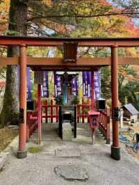 「負けきらい」の神社で