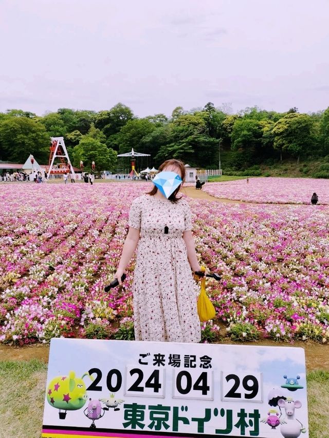 【千葉県袖ヶ浦市】東京ドイツ村