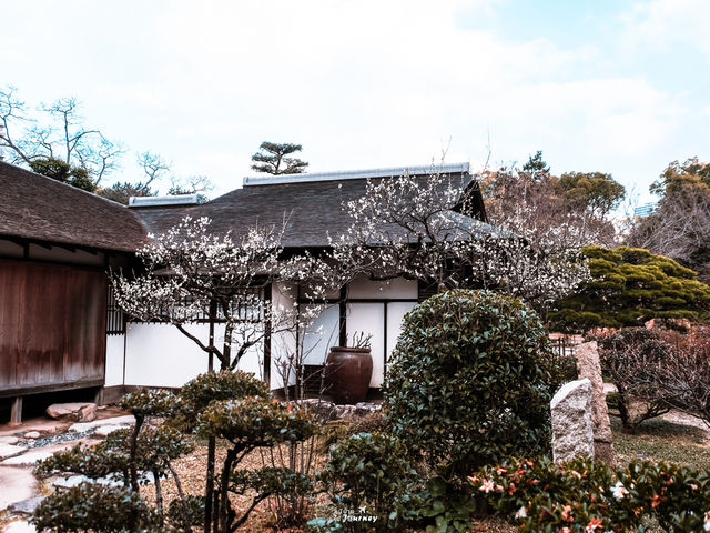 สวน Shukkeien สวนสไตล์ญี่ปุ่นโบราณ น่าเดินเล่น