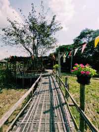  คาเฟ่ทุ่งดอกไม้ : Lapuné Cafe and Scene