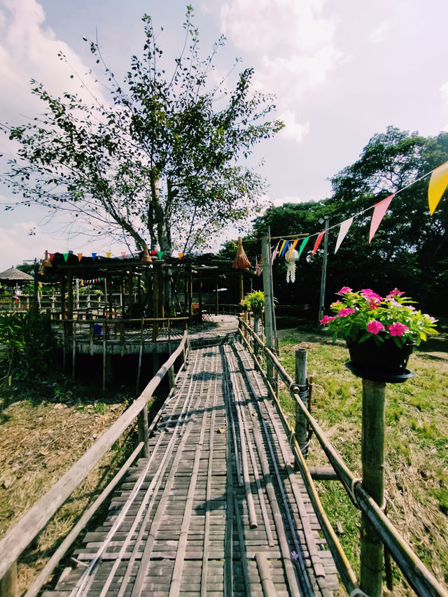  คาเฟ่ทุ่งดอกไม้ : Lapuné Cafe and Scene