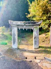 大分の有形文化財😊神秘的な下野熊埜社⛩️✨