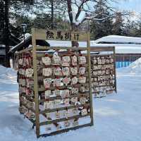 Winter Journey to Hokkaido Jingu Shrine