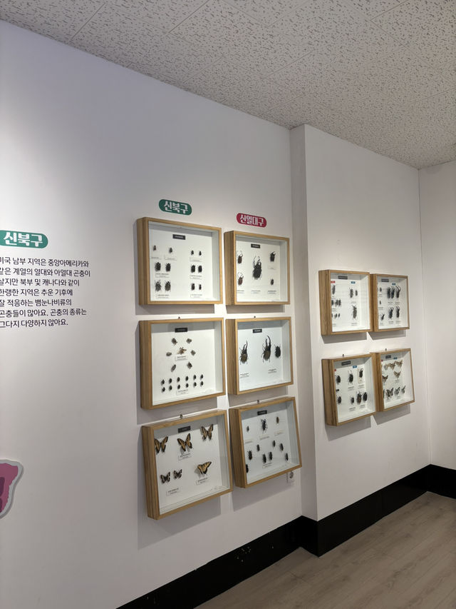 전주 도심속 아름다운 자연을 구경가능한 자연사박물관❤️
