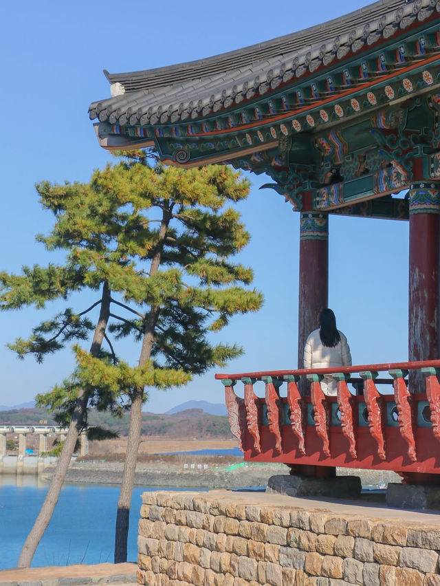 바다부터 체험까지, 겨울에 더 즐거운 보령여행🌊❄️🩵
