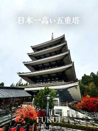 五重塔からの景色がとっても最高！日本一の五重塔【福井】