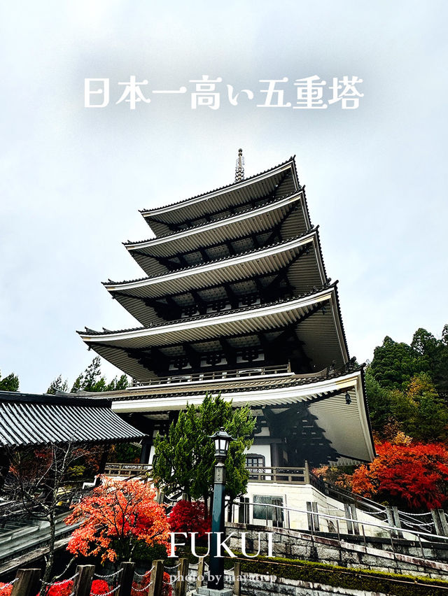 五重塔からの景色がとっても最高！日本一の五重塔【福井】