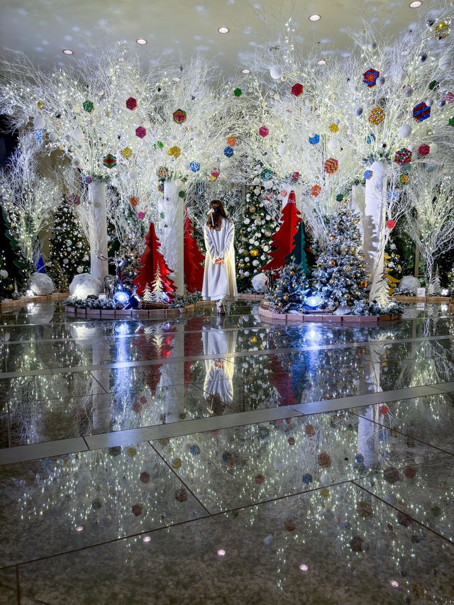 【無料で見れるイルミ！✨】グランドハイアットのイルミネーションが今年も美しすぎる！❄️🎄