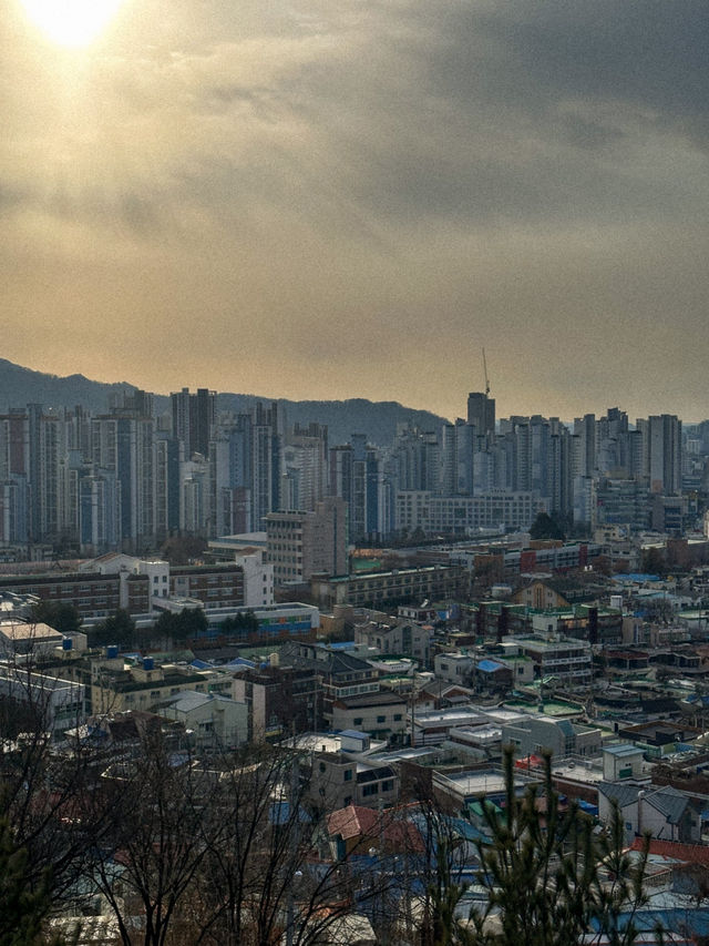 대전 시내를 한 눈에 담을 수 있는 곳