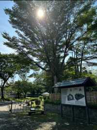 Taman Jepun Ipoh: A Tranquil Japanese Garden Escape