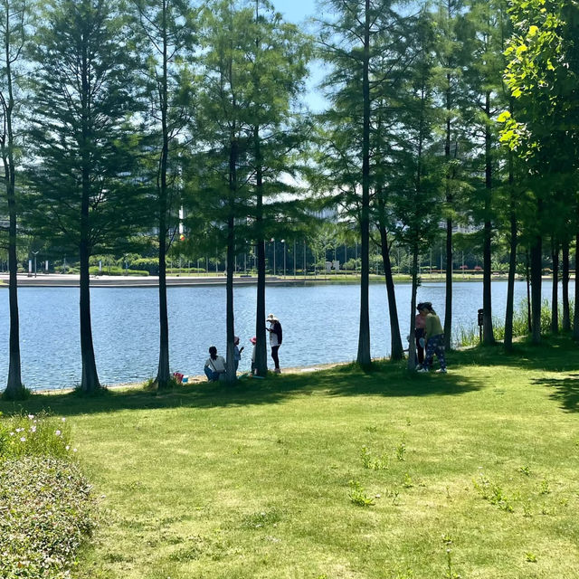 上塔悠公園🛣️城市氧吧🌳🌼