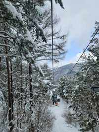 아름다운 설경이 있는 스키장❄☃️