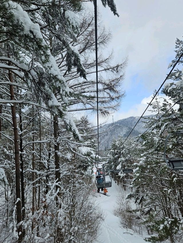 아름다운 설경이 있는 스키장❄☃️