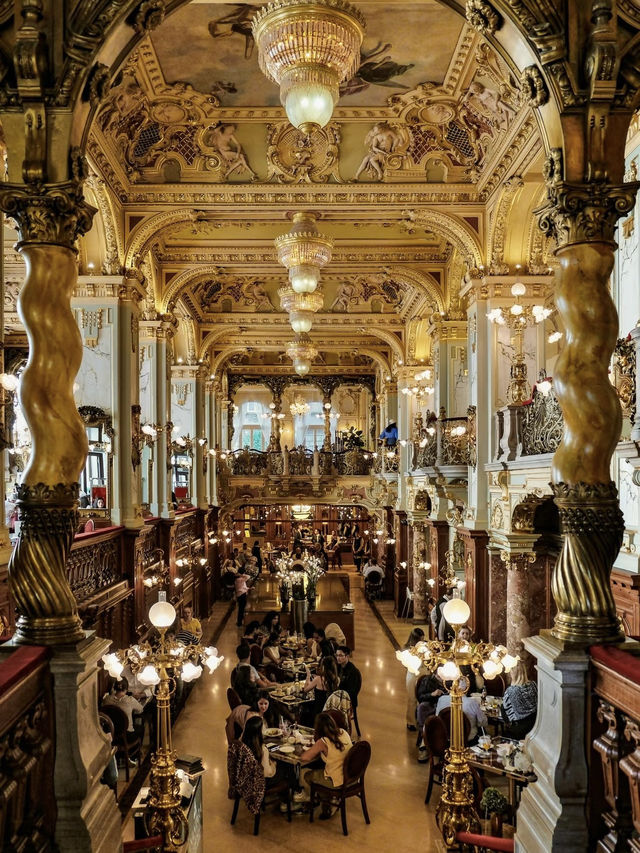New York Cafe: Handsdown to the The Most Beautiful Cafe in the world 