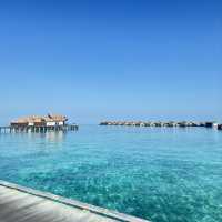 Ozen in Maldive . Eat , drink , Relax 