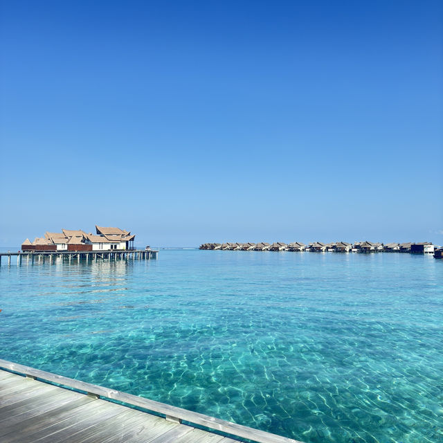 Ozen in Maldive . Eat , drink , Relax 
