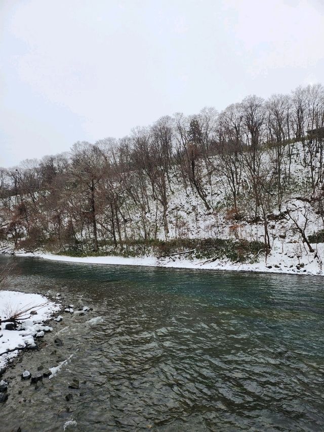 확트인 뷰가 인상적인 여유로운 시코츠호수🏞