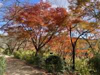 御船山樂園