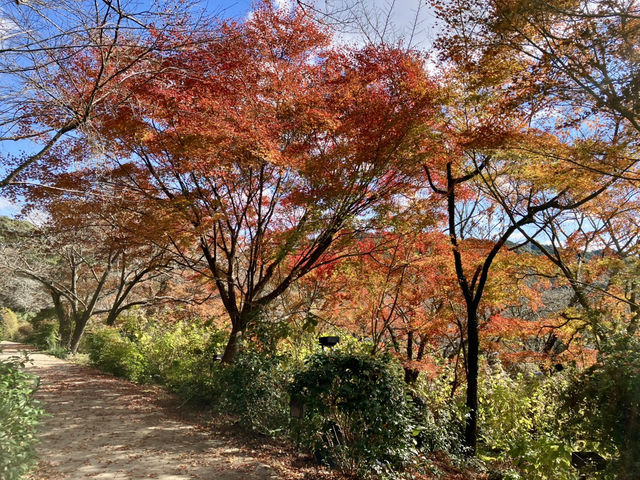 御船山樂園