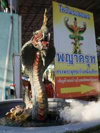 วัดหนองไก่เถื่อน 