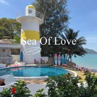 Sea of Love Suite Cafe Pattaya 