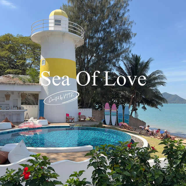Sea of Love Suite Cafe Pattaya 