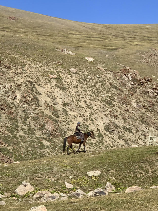 Nayrn - Hiking in GRASSY mountains 🏔️🥺