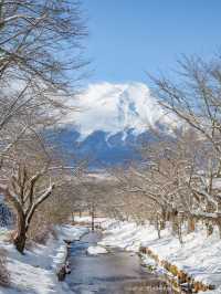 Winter In Oshino Hakkai วิวภูเขาไฟฟูจิ ❄️☃️ 