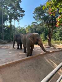 Phu Quoc Island 11 Days Travel Guide 