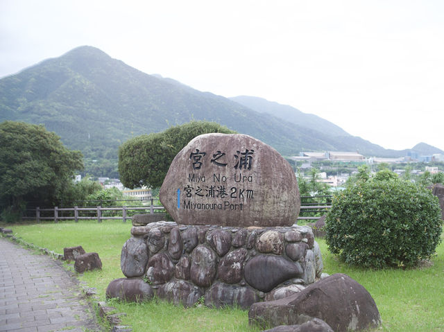 屋久島突貫旅