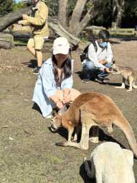 Must-visit places in Caversham Wildlife Park
