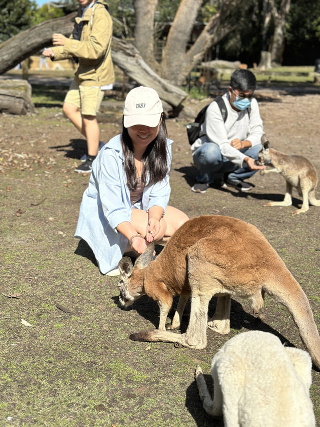 Must-visit places in Caversham Wildlife Park