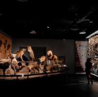 Natural History Museum - Shanghai