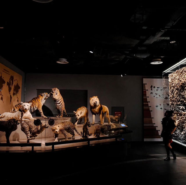 Natural History Museum - Shanghai