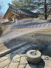 【伊豆×初春の旅】熱海で韓国？を楽しめる庭園