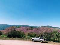 ภูลมโล (อุทยานภูหินร่องกล้า)