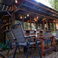 อยู่ป่า -Yoo Pha Bar&Cafe ☕️🌳@CNX, TH