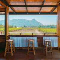 kamta cafe 