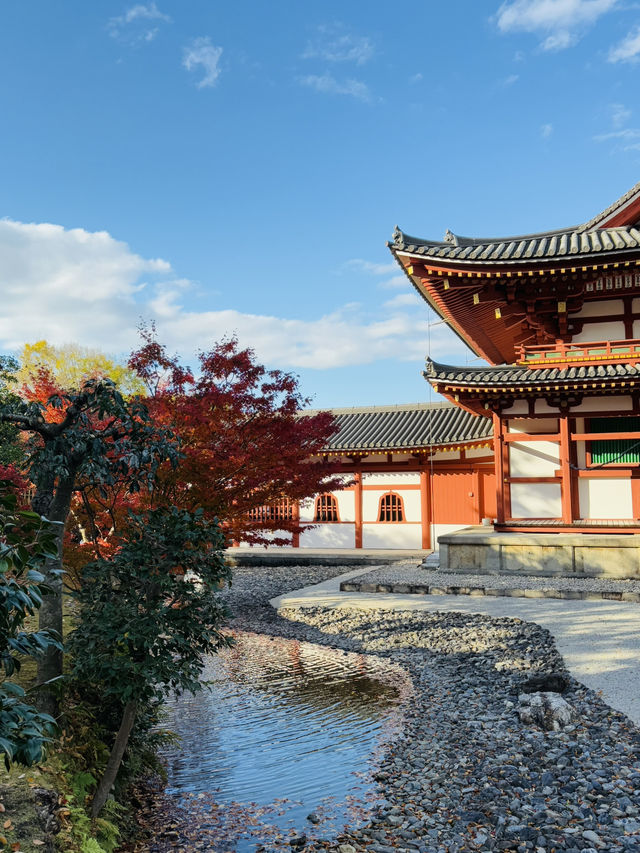 宇治｜欲知極樂必拜宇治御寺 平安時代的人間淨土-平等院