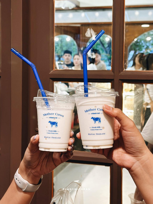 Mother Cows.เมืองทองธานี 🐮💙✨ 
