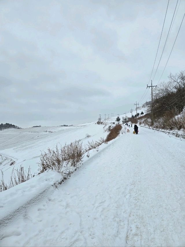 영화의 한장면 같았던 평창 안반데기🤍