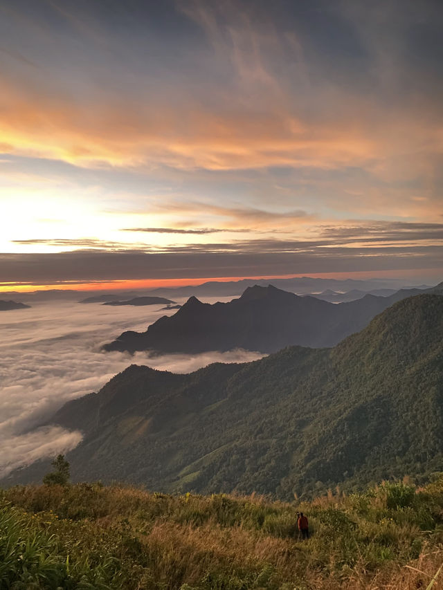 ภูชี้ฟ้า | เชียงราย ⛰️☀️🌳☁️