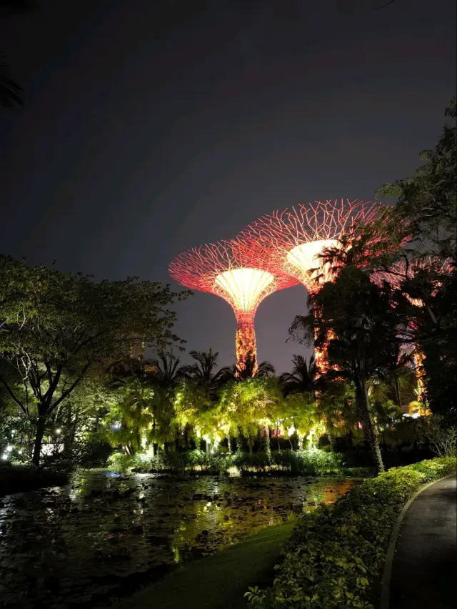 3D Garden in the city (nature, culture and food immersion)