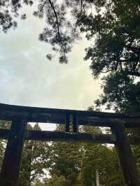 ⛩ 🐒✅日光東照宮 攻略ガイド – 世界遺産で徳川の歴史を満喫！