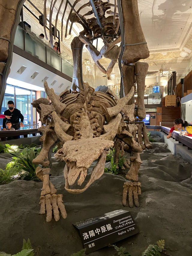國立臺灣博物館古生物館—恐龍與歷史的交會點