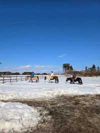 青森で雪上乗馬体験