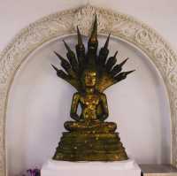 วัดใหม่พิบูลย์ผล