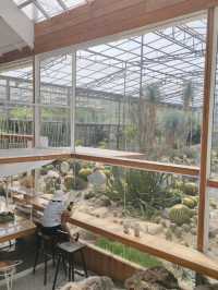 Botanist activity space and more บางชัน